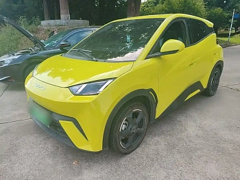 Seagull 2023 Free Edition купить на сайте DeffCars