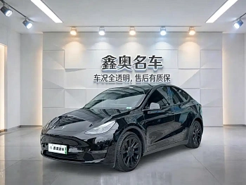 Model Y 2021 Standard Range Rear Drive Edition купить на сайте DeffCars