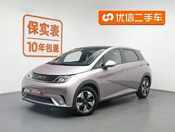 Dolphin 2025 model 420km fashion version купить по цене 2 067 339 ₽  на сайте DeffCars