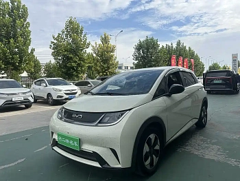 Dolphin 2025 420km Free Edition купить на сайте DeffCars