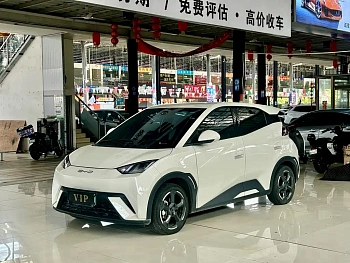 Seagull 2023 Flying Edition купить по цене 1 799 544 ₽  на сайте DeffCars