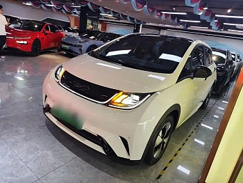 Dolphin 2023 model 420km fashion version купить по цене 1 880 964 ₽  на сайте DeffCars