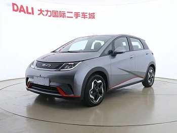 Dolphin 2021 model 405km fashion version купить по цене 1 929 128 ₽  на сайте DeffCars