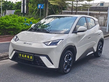 Seagull 2023 Flying Edition купить по цене 1 819 480 ₽  на сайте DeffCars