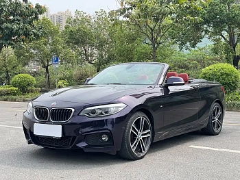 BMW 2 Series Imported 2019 225i Convertible Coupe Exclusive M Sports Package купить на сайте DeffCars