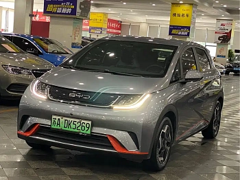 Dolphin 2021 model 405km fashion version купить по цене 1 734 891 ₽  на сайте DeffCars