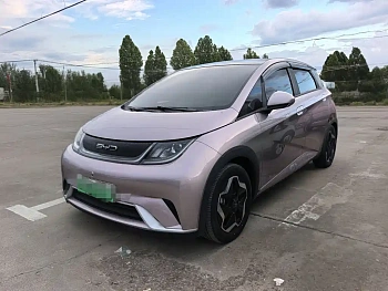 Dolphin 2021 model 405km fashion version Dolphin 2021 model 405km fashion version купить по цене 1 684 912 ₽  на сайте DeffCars