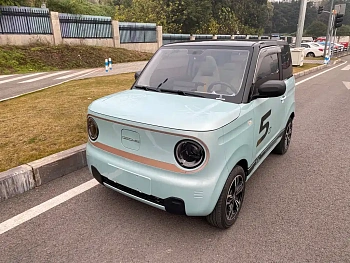 Panda 2023 Panda mini 200km endurance bear купить на сайте DeffCars