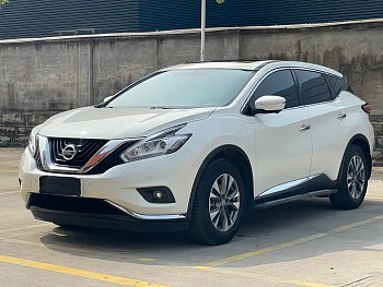 Loulan 2019 2.5L XL 2WD Intelligent Luxury Edition National V купить на сайте DeffCars