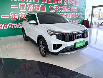Zhipao 2021 Ace 2.0L Wonderful Edition купить на сайте DeffCars