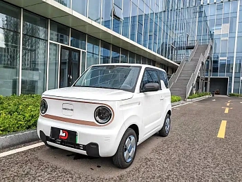 Panda 2024 Panda mini 200km endurance bear купить на сайте DeffCars