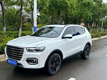 Haval H6 2020 1.5GDIT Automatic Platinum Deluxe Edition купить по цене 1 783 697 ₽  на сайте DeffCars