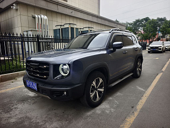 Haval Big Dog 2021 1.5T DCT Two-wheel drive Horse Dog Edition купить по цене 1 797 891 ₽  на сайте DeffCars