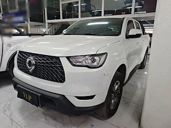 Cannon 2021 2.0T commercial version manual gasoline four-wheel drive elite long box GW4C20B купить на сайте DeffCars