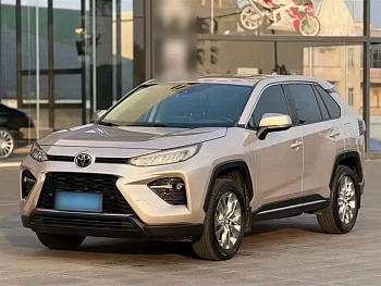 Wilanda 2020 2.0L CVT two-wheel drive luxury version купить на сайте DeffCars