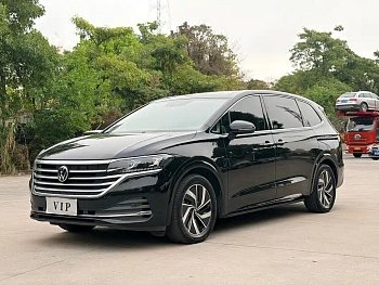 Weiran 2022 330TSI Deluxe Edition купить на сайте DeffCars