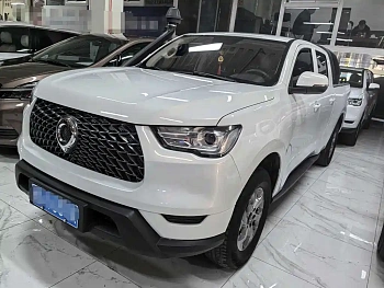 Cannon 2021 2.0T commercial version automatic gasoline four-wheel drive elite long box GW4C20B купить на сайте DeffCars