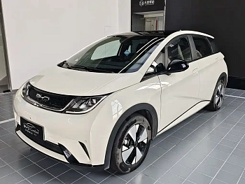 Dolphin 2023 model 420km fashion version купить по цене 1 875 948 ₽  на сайте DeffCars