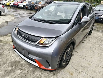 Dolphin 2021 model 405km fashion version купить по цене 1 733 091 ₽  на сайте DeffCars