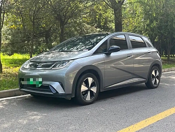 Dolphin 2023 model 420km fashion version купить по цене 1 946 170 ₽  на сайте DeffCars