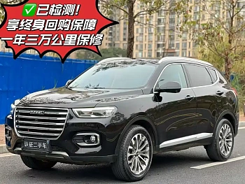 Haval H6 2020 2.0GDIT Automatic Platinum Champion Edition купить по цене 2 291 810 ₽  на сайте DeffCars