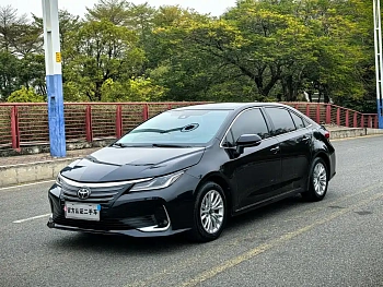 Asia Lion 2021 2.0L Advanced Edition купить на сайте DeffCars