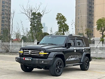 Tank 300 2023 City Edition 2.0T Very Stylish купить на сайте DeffCars