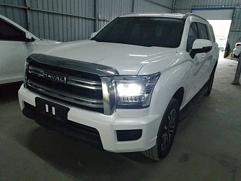 Haval H5 2023 model 2.0T automatic two-wheel drive LinkedIn gasoline купить по цене 2 646 226 ₽  на сайте DeffCars