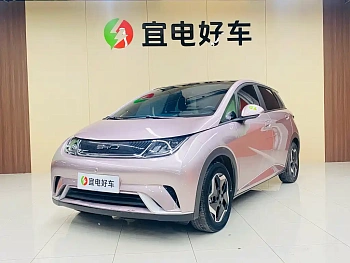 Dolphin 2021 model 405km fashion version купить по цене 1 851 184 ₽  на сайте DeffCars