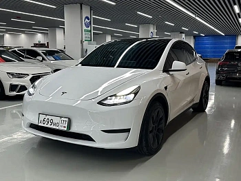 Model Y 2023 rear-wheel drive version купить на сайте DeffCars