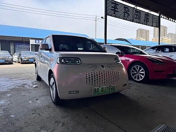 Euler White Cat 2020 360km luxury model купить на сайте DeffCars