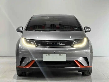 Dolphin 2021 model 405km fashion version купить по цене 1 784 731 ₽  на сайте DeffCars