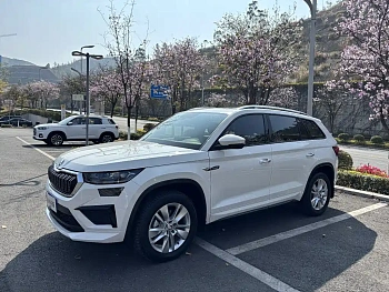 Kodiak 2025 TSI330 5-seater two-wheel drive powerful version купить на сайте DeffCars