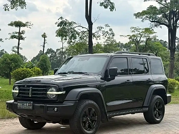 Tank 300 2021 Off-Road Version 2.0T Challenger купить на сайте DeffCars