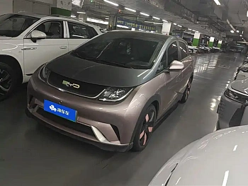 Dolphin 2021 401km Knight Edition купить по цене 1 847 723 ₽  на сайте DeffCars