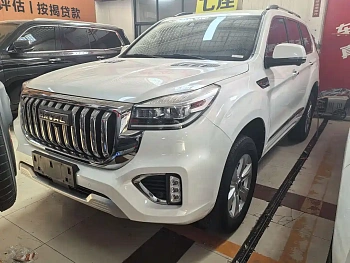 Haval H9 2022 2.0T gasoline four-wheel drive luxury model 7 seats купить на сайте DeffCars