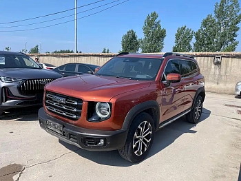 Haval Big Dog 2021 2.0T DCT Two-wheel drive Chinese Hound Edition купить по цене 2 166 574 ₽  на сайте DeffCars