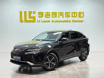 Wei Sa 2022 2.0L CVT two-wheel drive luxury version купить на сайте DeffCars