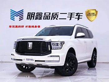 Tank 500 2022 model 3.0T sports version, environment type, 7 seats купить на сайте DeffCars