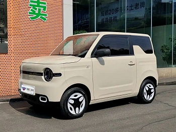 Panda 2025 210km Panda Kart Pigman Limited Edition купить на сайте DeffCars