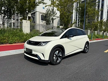 Dolphin 2023 model 420km fashion version купить по цене 1 842 510 ₽  на сайте DeffCars