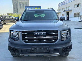 Haval Big Dog 2021 1.5T DCT Two-wheel drive Labrador Edition купить по цене 1 858 237 ₽  на сайте DeffCars