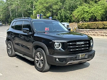 Havaldog 2021 1.5T DCT two-wheel drive Labrador version купить на сайте DeffCars