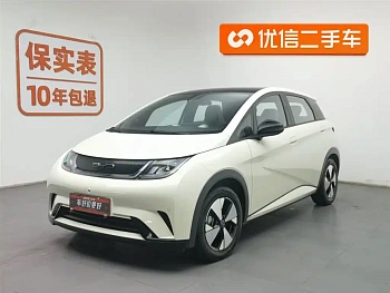 Dolphin 2023 model 420km fashion version купить по цене 1 892 668 ₽  на сайте DeffCars