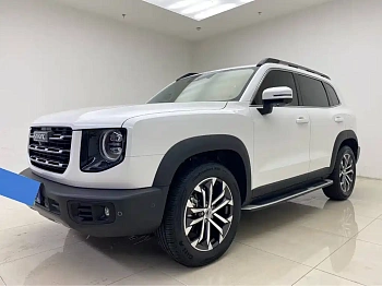 Haval Big Dog 2021 1.5T DCT Two-wheel drive Horse Dog Edition купить по цене 2 003 070 ₽  на сайте DeffCars