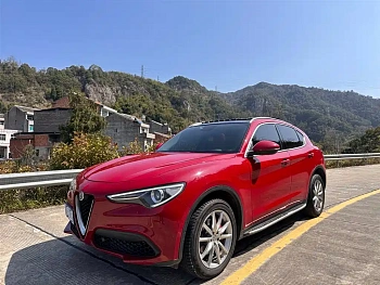 Stelvio 2017 2.0T 200HP Deluxe Edition купить на сайте DeffCars