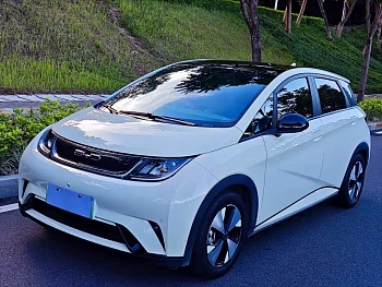 Dolphin 2023 model 420km fashion version купить по цене 1 912 731 ₽  на сайте DeffCars