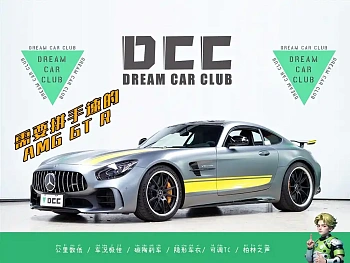 AMG GT 2017 AMG GT R купить на сайте DeffCars
