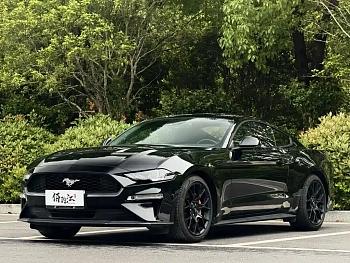 Mustang 2019 2.3L EcoBoost купить на сайте DeffCars