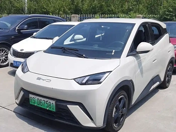 Seagull 2023 Flying Edition купить по цене 1 832 771 ₽  на сайте DeffCars